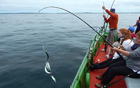 Fishing charter from Doonbeg pier